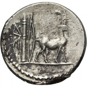 Republika Rzymska, Plancius, denar, 55 p.n.e., Rzym