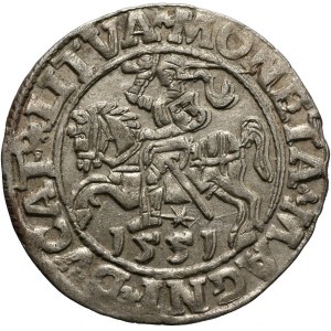 Zygmunt II August, półgrosz 1551, Wilno