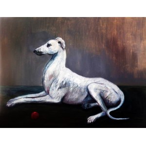 Kacper Piskorowski, Greyhound, 2017