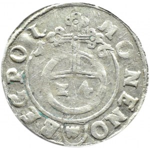 Zygmunt III Waza, półtorak 1616, Adwaniec, szeroki odstęp w PO L, Bydgoszcz