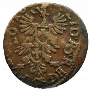 Jan II Kazimierz, szeląg (boratynka) 166?, Ujazdów, ciekawy destrukt - podwójne bicie!