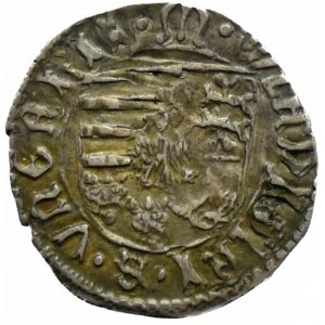 Węgry, Władysław II Jagiellończyk, denar bez daty, napisy gotyckie