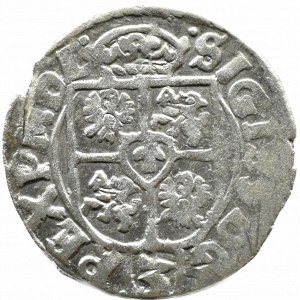 Sigismund III Vasa, half-track 1614, Bydgoszcz, rare