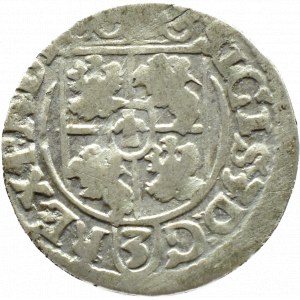 Zygmunt III Waza, półtorak 1619, herb Sas, Bydgoszcz