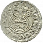 Okupacja Szwedzka, Krystyna, półtorak 1648 wilk, Liwonia 8 zamiast S