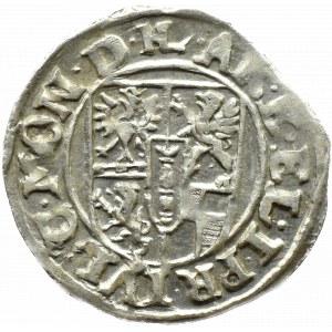 Ducal Prussia, John Sigismund, Prussian penny 1613, Drezdenko