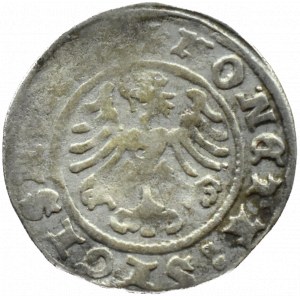 Sigismund I the Old, Crown half-penny 1508, Cracow