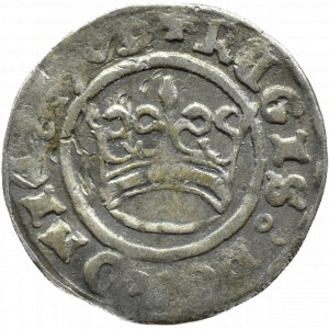 Sigismund I the Old, 1509 crown half-penny, Cracow
