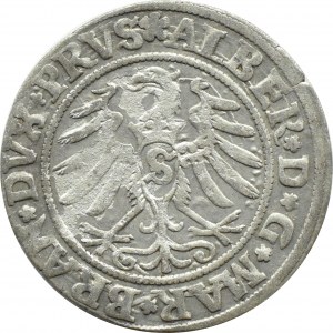 Herzogliches Preußen, Albrecht, Preußischer Pfennig 1531, Königsberg