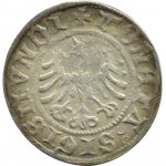 Sigismund I the Old, half-penny 1507 SIGISIIVNDI, Cracow, BEAUTIFUL and RARE!