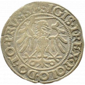 Sigismund I the Old, city penny 1540, Elbląg