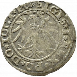 Sigismund I the Old, city penny 1535, Elbląg
