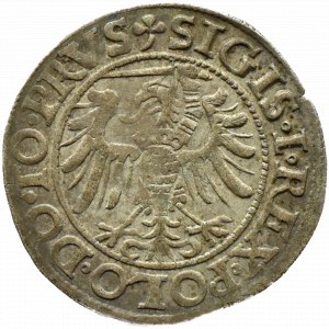 Sigismund I the Old, city penny 1539, Elbląg STAR