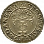 Sigismund I the Old, city penny 1539, Gdansk PRVS - BEAUTIFUL
