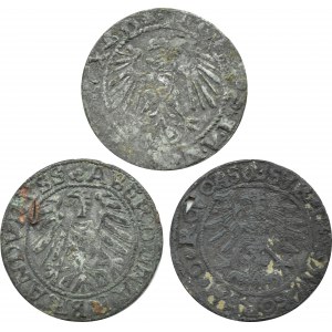 Sigismund I the Old/Albrecht, flight of three pennies - period forgeries