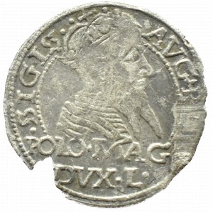Zygmunt II August, grosz litewski na stopę polską, 1567, Tykocin, L/LI