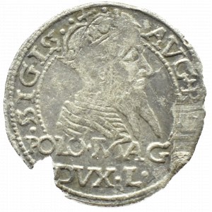 Sigismund II Augustus, Lithuanian penny per Polish foot, 1567, Tykocin, L/LI