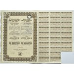Joint Stock Company of the Great Furnaces and Ostrowiec Works, share 100 zloty 1918, series B