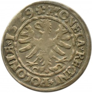 Zikmund I. Starý, penny 1529, Krakov