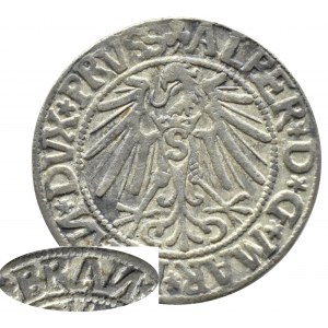 Ducal Prussia, Albrecht, Prussian penny 1544, Königsberg, REVERSE N