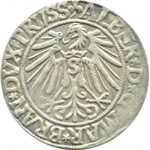 Knížecí Prusko, Albrecht, pruský groš 1545, Königsberg