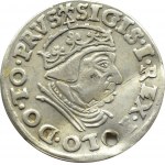 Sigismund I. der Alte, Trojak 1539, Danzig