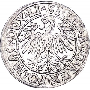 Sigismund II Augustus, half-penny 1547, Vilnius, OKAZOWY