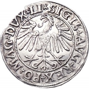 Sigismund II Augustus, half-penny 1547, Vilnius, OKAZOWY