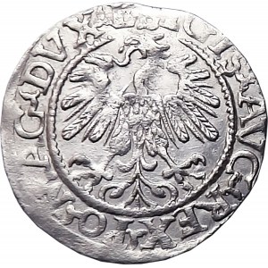 Zikmund II August, půlpenny 1559, Vilnius, KRÁSNÝ