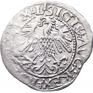 Sigismund II Augustus, half-penny 1560, Vilnius LITVA/L