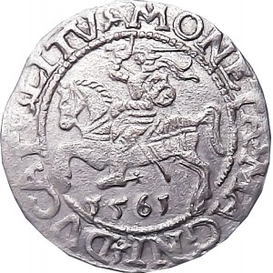 Sigismund II Augustus, half-penny 1561, Vilnius, LITVA/L, WHOLE