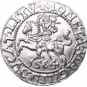 Zygmunt II August, półgrosz 1564, LITV/L, Wilno, OKAZOWY