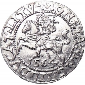 Sigismund II Augustus, half-penny 1564, LITV/L, Vilnius, OKAZOWY