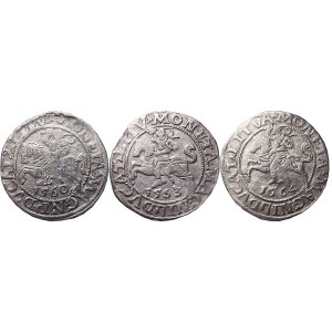 Sigismund II Augustus, flight of three half-pennies, Vilnius
