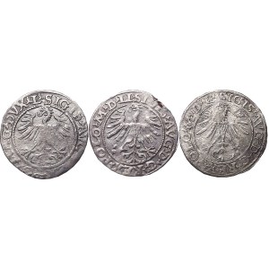 Sigismund II Augustus, flight of three half-pennies, Vilnius