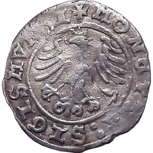 Sigismund I the Old, half-penny 1508, Cracow, UNSIGNED