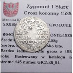 Sigismund I the Old, penny 1528, Cracow, ILLUSTRATED