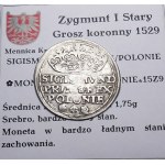 Zikmund I. Starý, penny 1529, Krakov
