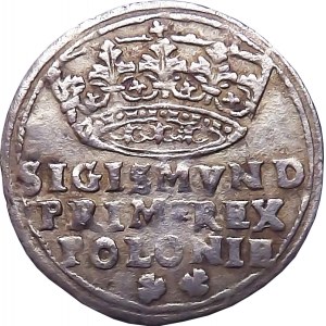Sigismund I the Old, penny 1545, Cracow BEAUTIFUL