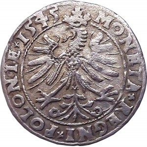 Zikmund I. Starý, groš 1545, Krakov KRÁSNÝ