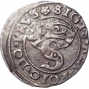 Zygmunt I the Old, 1529 shekel, Torun