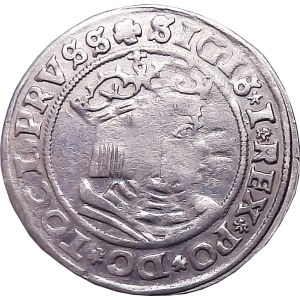Zikmund I. Starý, penny 1529, Toruň