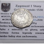 Sigismund I the Old, a penny 1530, Toruń BAD