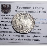 Zygmunt I Stary, grosz 1530, Toruń