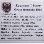 Zikmund I. Starý, penny 1530, Toruň