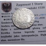 Zikmund I. Starý, penny 1530, Toruň