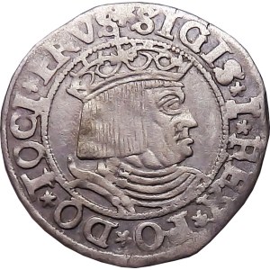 Zikmund I. Starý, groš 1530, Toruň DÁMA