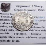 Zikmund I. Starý, groš 1530, Toruň DÁMA