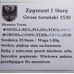 Zikmund I. Starý, groš 1530, Toruň VELMI DOBRÝ