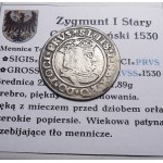 Sigismund I the Old, penny 1530, Toruń VERY BAD